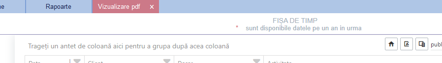 Tabul de vizualizare pdf